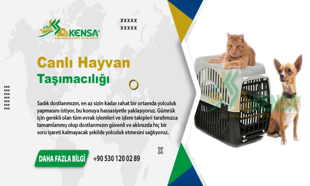 Canlı Hayvan Taşımacılığı Kensa Lojistik